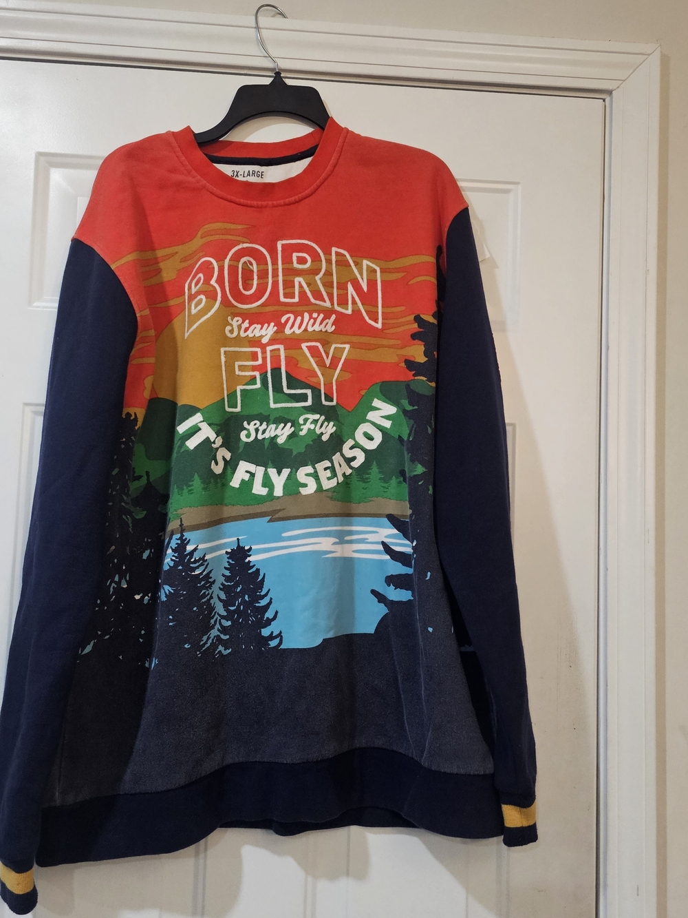 Born Fly Stay Wild Graphic Kids Sweatshirt - Multicolor
